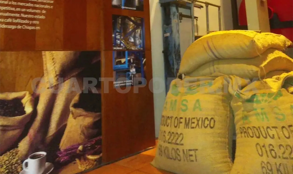 Un año más promoviendo la cultura del café