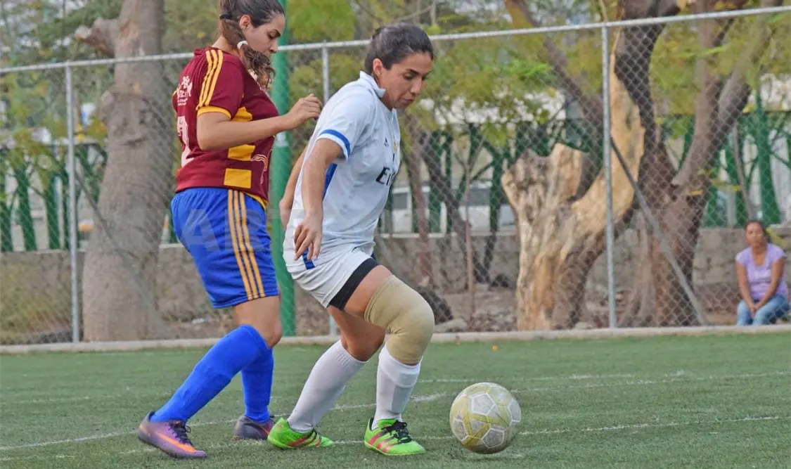 Conejas y Novatos iniciaron como campeones el 2017