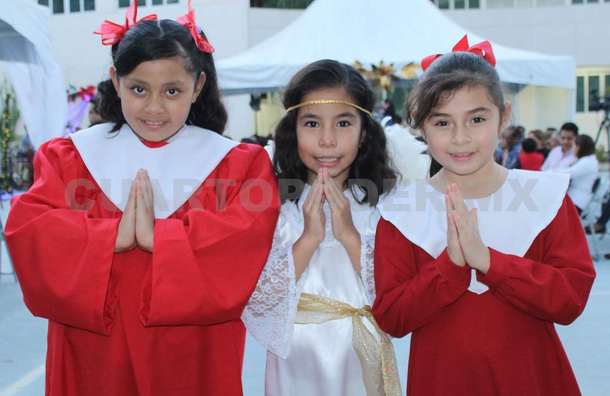 Festival navideño