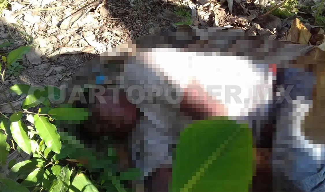 Hombre fallece por ataque de abejas africanas