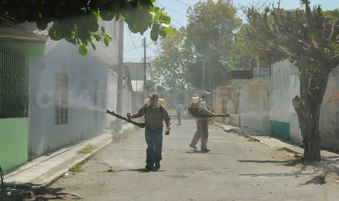 Bajo control Zika y Chikungunya en este año