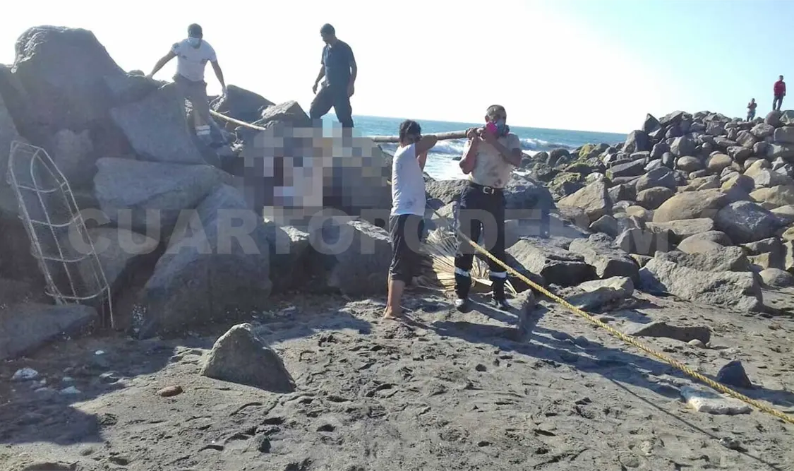 Mar arroja cuerpo de joven que estaba desaparecido