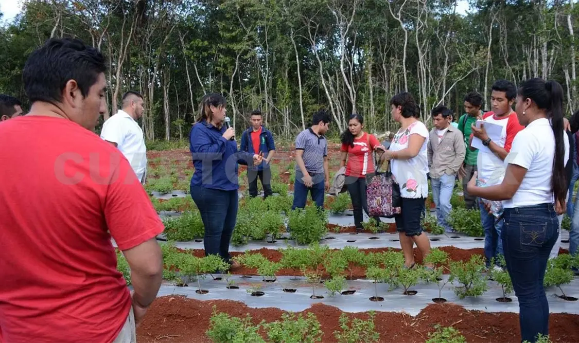 El proyecto es realizado por especialistas del Inifap. Agencias