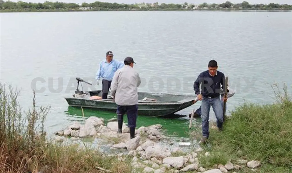 Sin rastro del menor que fue atacado por cocodrilo en Oaxaca