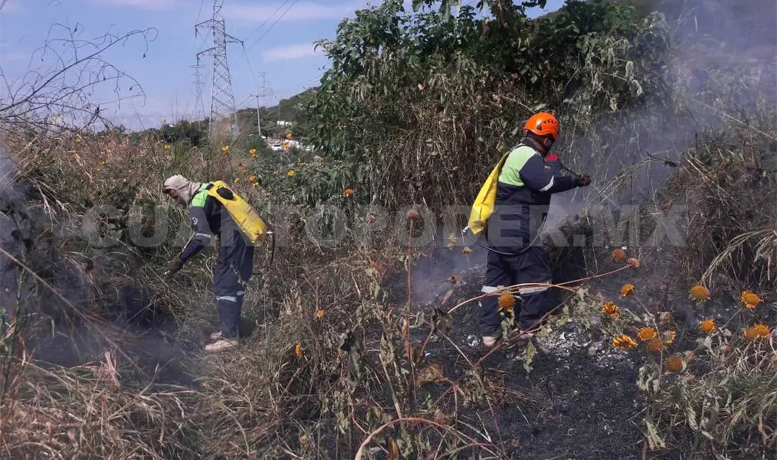 Hasta 50 mil pesos las multas por provocar incendios