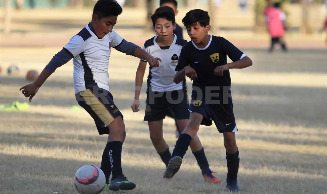 Escuelas de Futbol “patito”, un riesgo