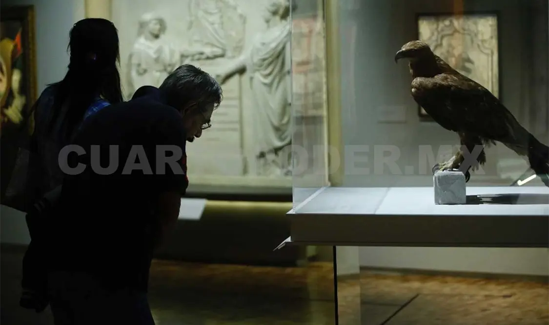 Buscan bajar el precio de entradas a museos