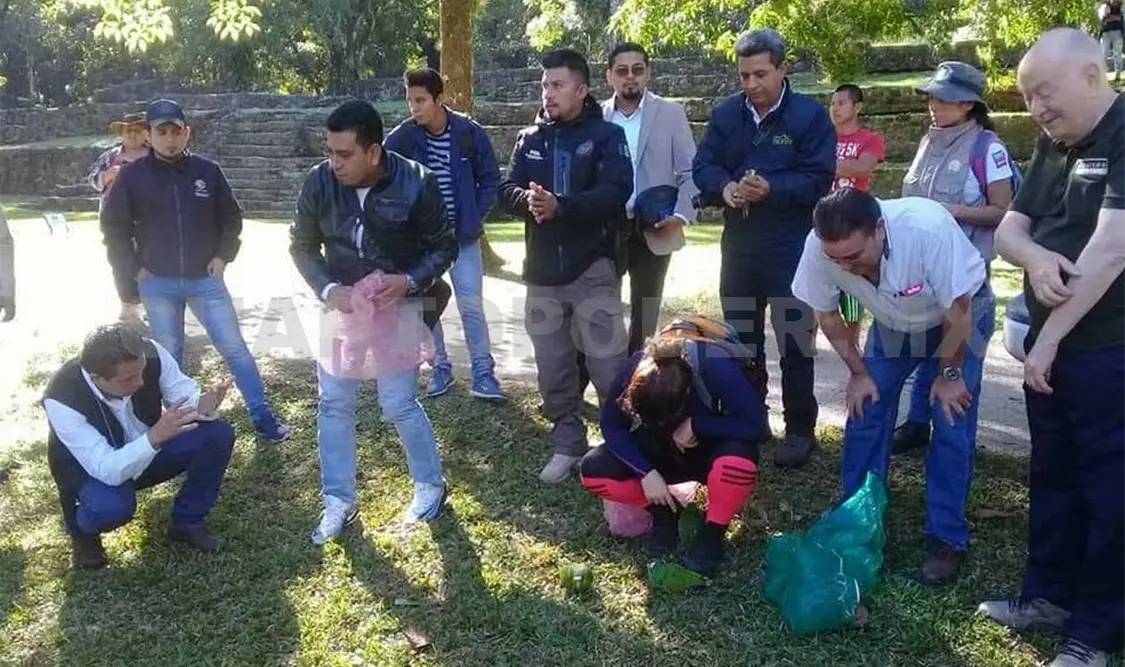 Liberan más de 200 loros rescatados
