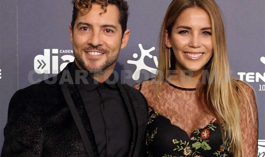 David Bisbal contraerá matrimonio con Rosanna Zanetti