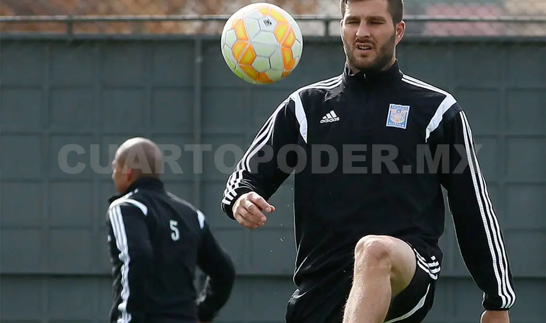 Gignac, listo para jugar en fecha 3