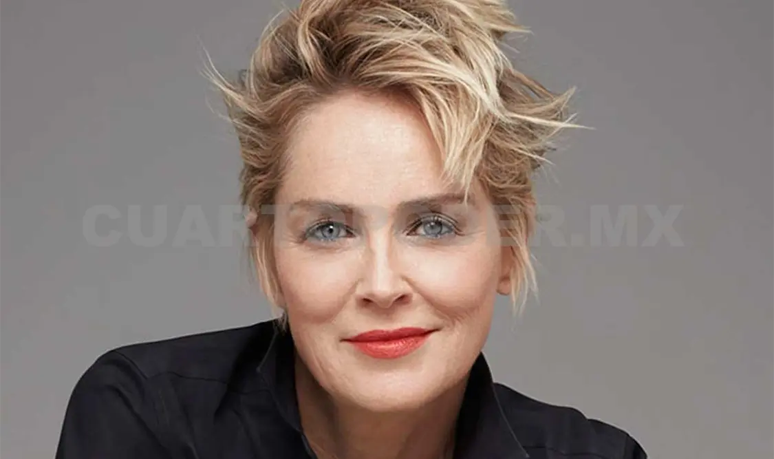 Sharon Stone se ríe frente a su entrevistador