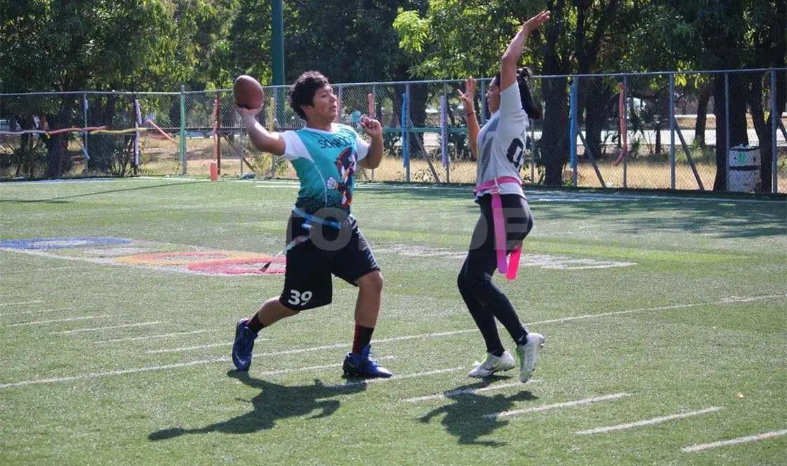 Listas las finales de rabbits y mixta