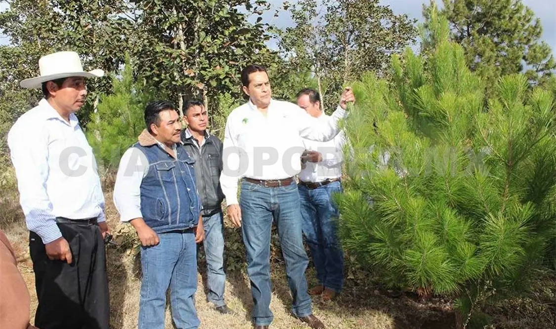 Ayuntamiento entrega apoyos a beneficiarios