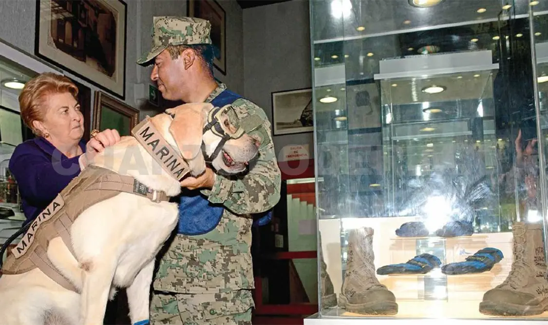 La perra Frida dona botas de rescate