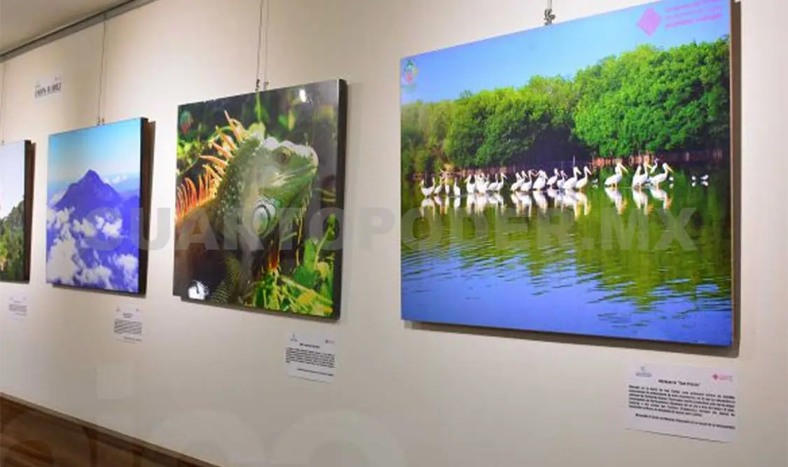 Obras que forman parte de la exposición. Cortesía