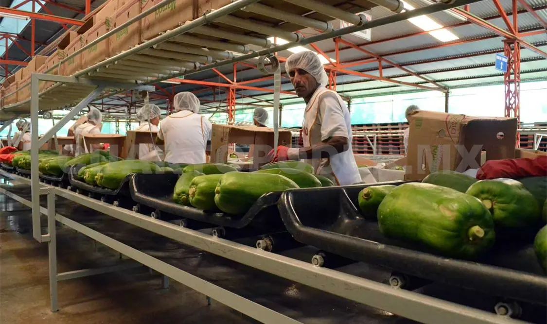 Sector exportador retomaría crecimiento