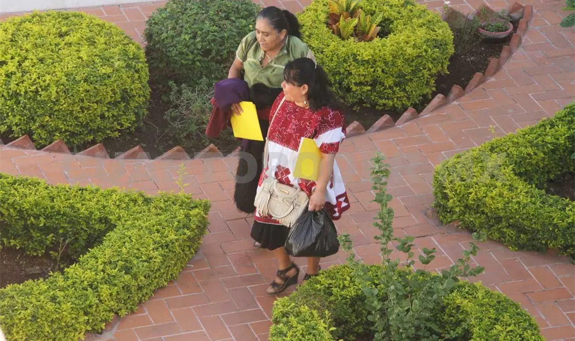 Exhortan a brindar participación de indígenas en zonas autóctonas