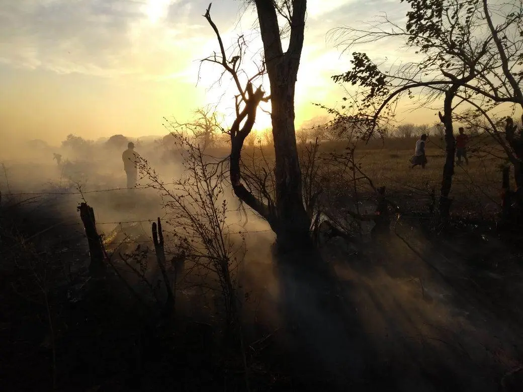 Incendios de pastizales registrados en la región Istmo-Costa. Foto: Cortesía PC de la zona