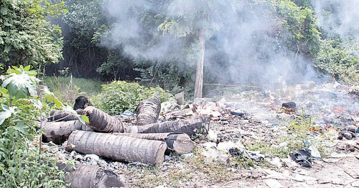 Emergencia ecológica por contaminación