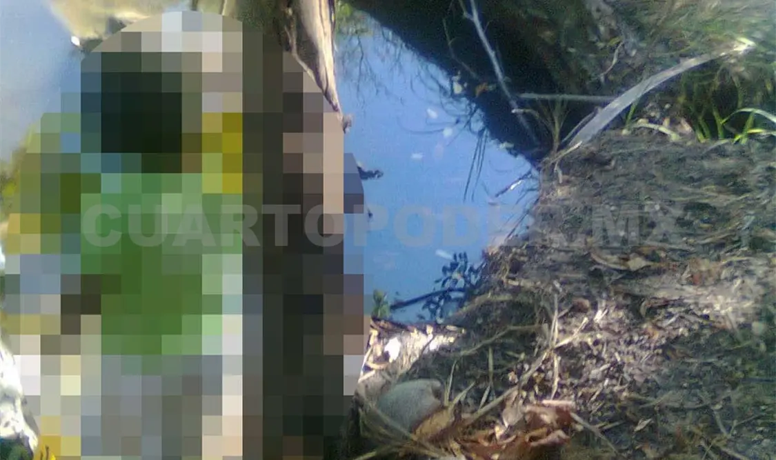 Se ahorcó sujeto en árbol en una colonia de Tapachula