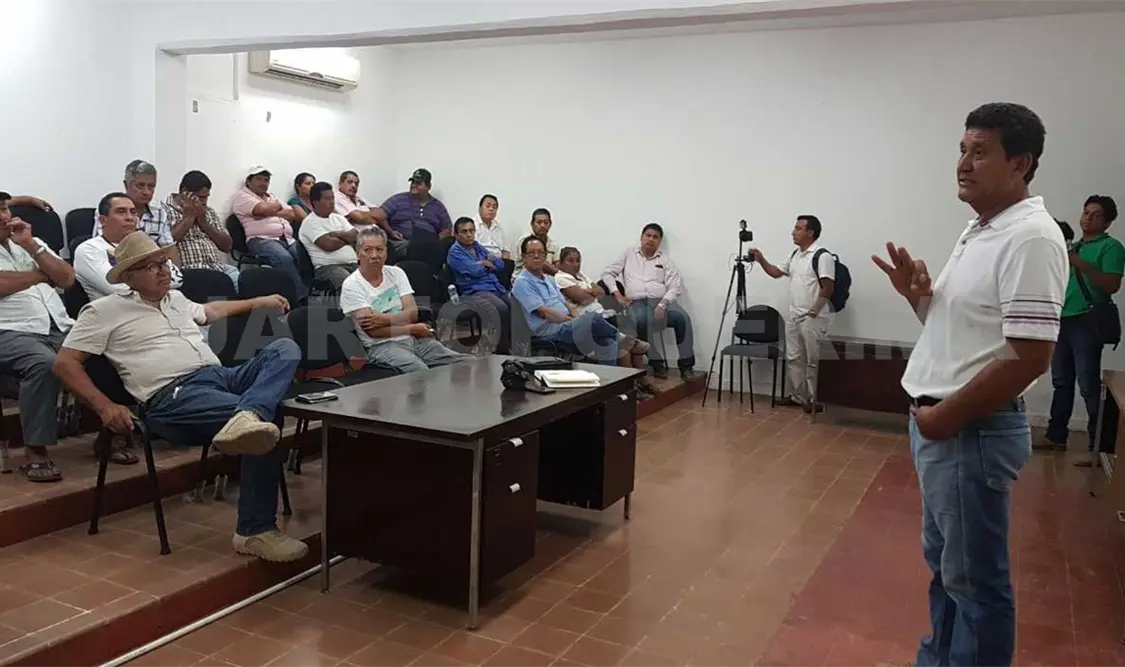 Engañan a productores de soya y ajonjolí