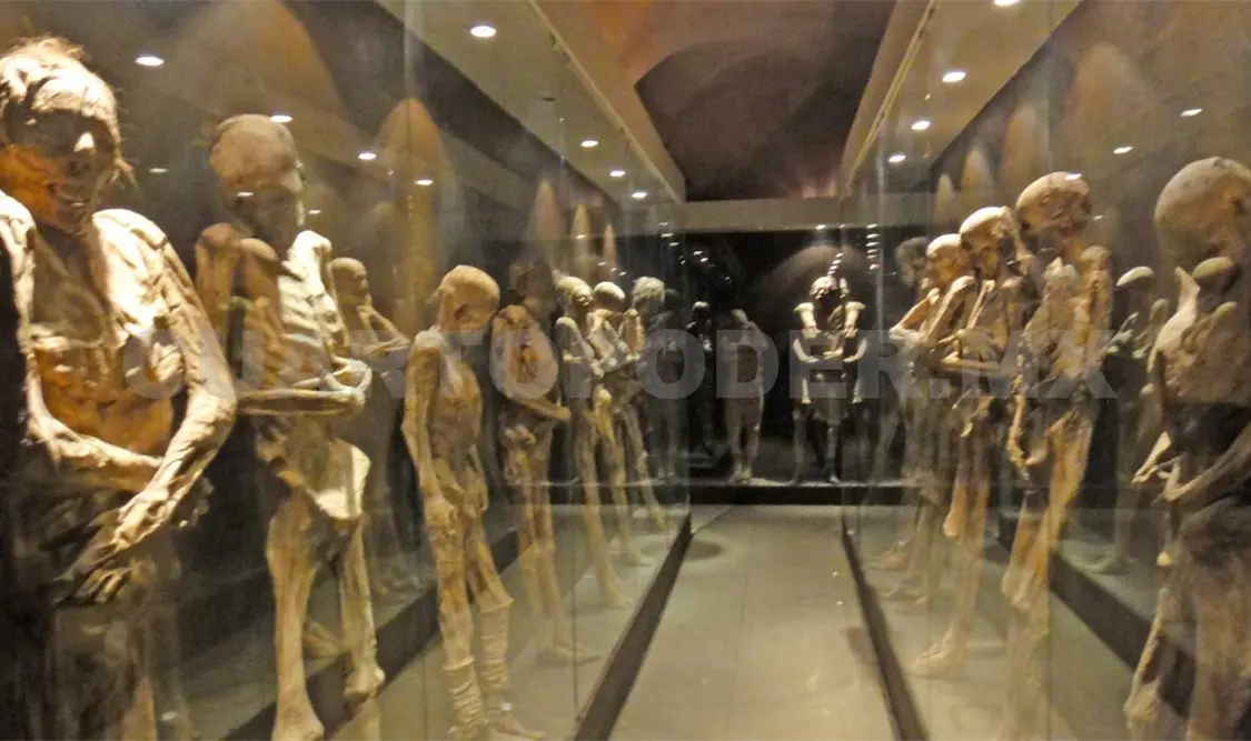 Imagen de las momias exhibidas. Cortesía