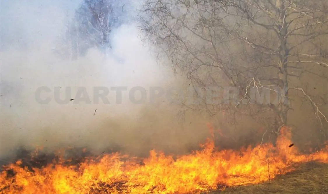 Se ha tenido un repunte en incendios de pastizales; hasta el momento han atendido poco más de 200 emergencias. Guillermo Ramos /CP