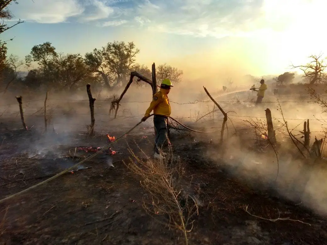 Incendios que se han presentado en Chiapas. Foto: Guillermo Ramos/Cp