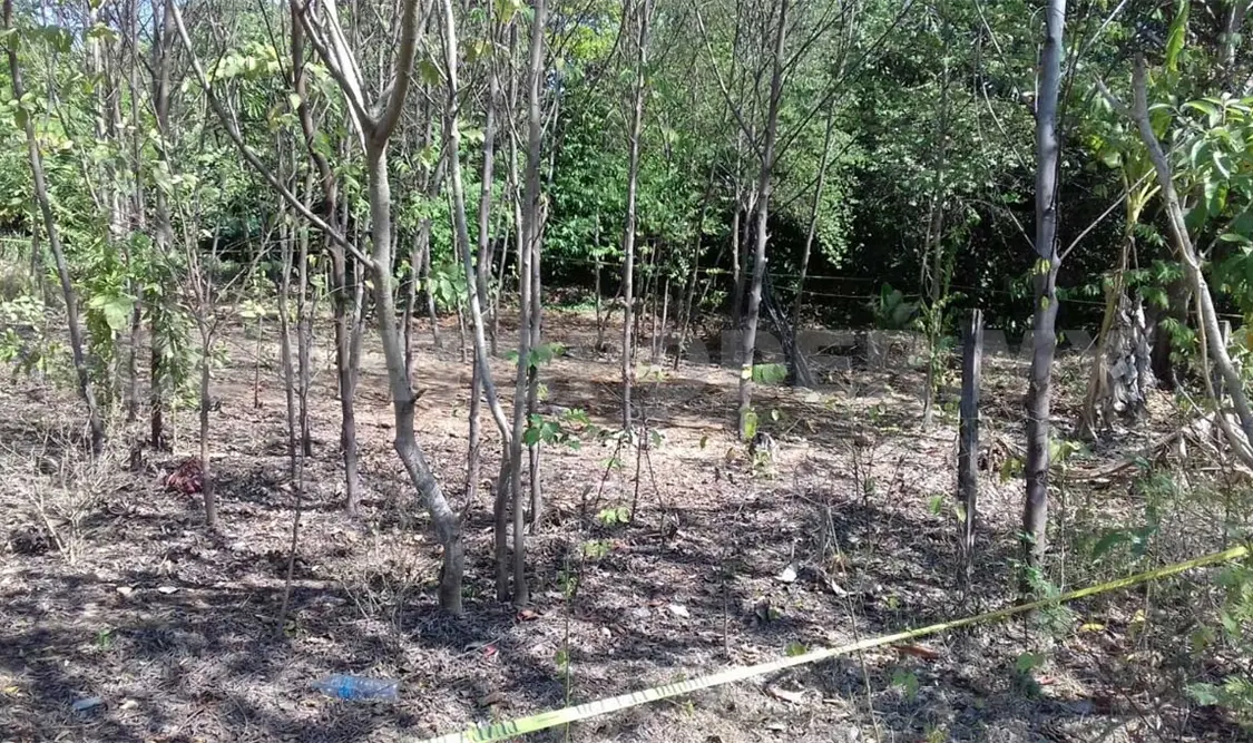 Investigan presuntas fosas clandestinas