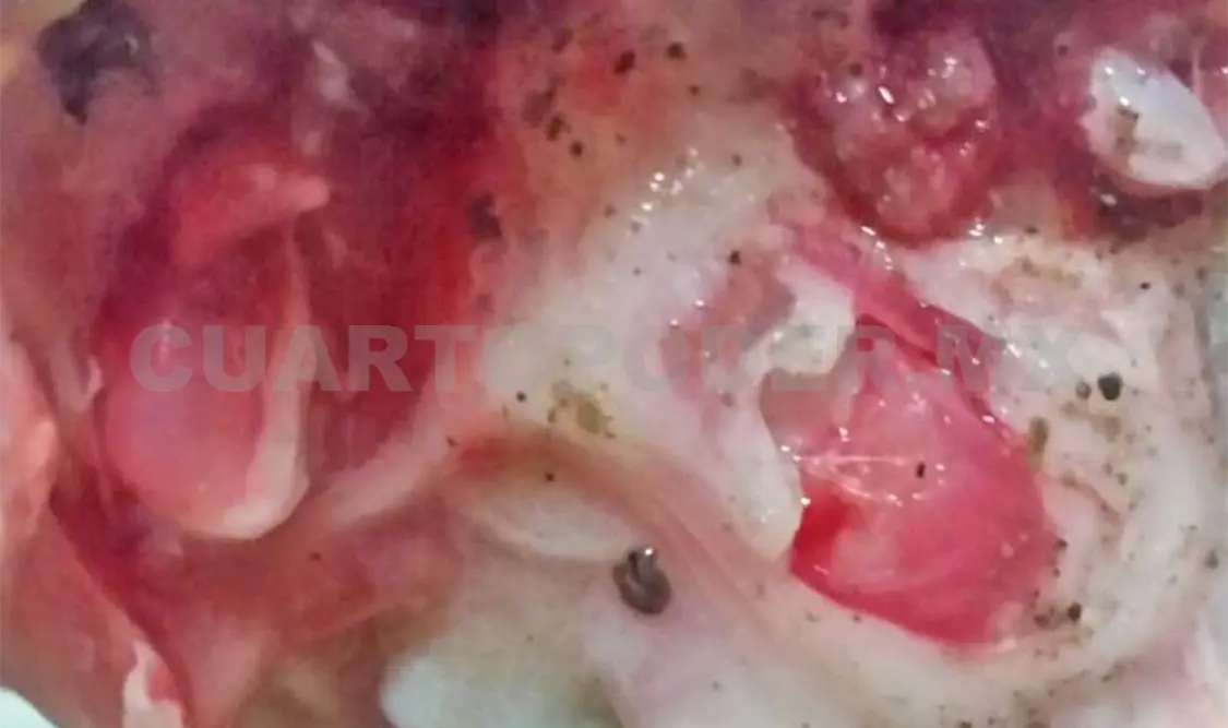 Alerta por pescado contaminado en mercados