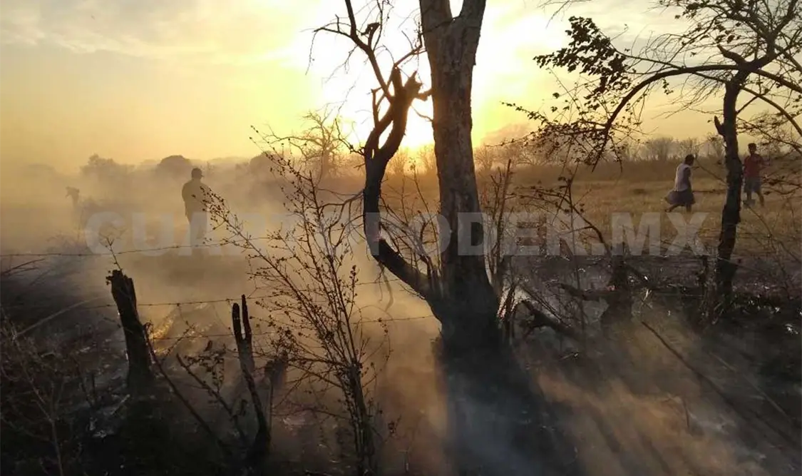 Las multas por provocar incendios pueden alcanzar hasta 50 mil pesos. Guillermo Ramos / CP