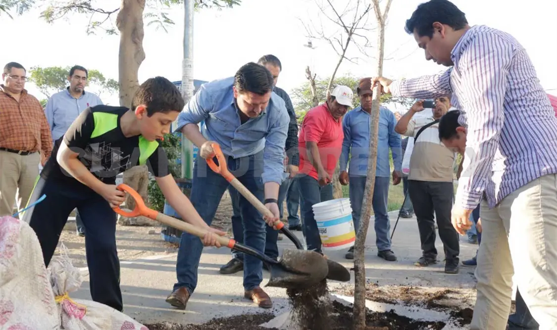 Refuerza Castellanos reforestación de espacios públicos