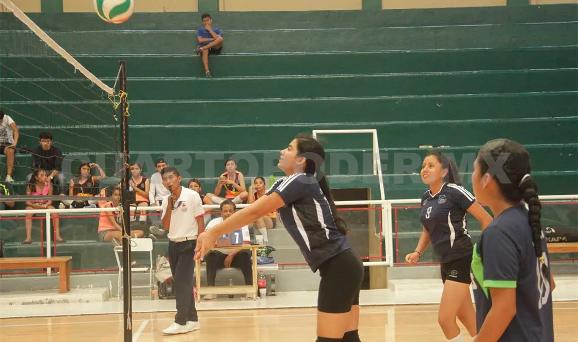 Ardillas Master y Novatas, líderes