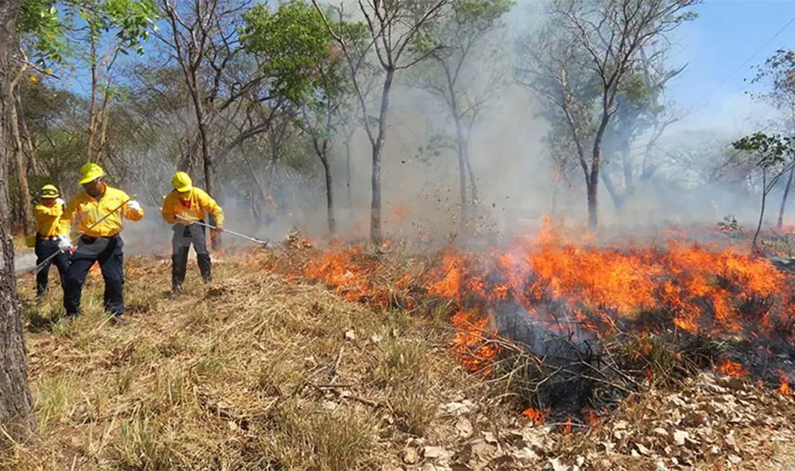 Inician trabajos contra incendios