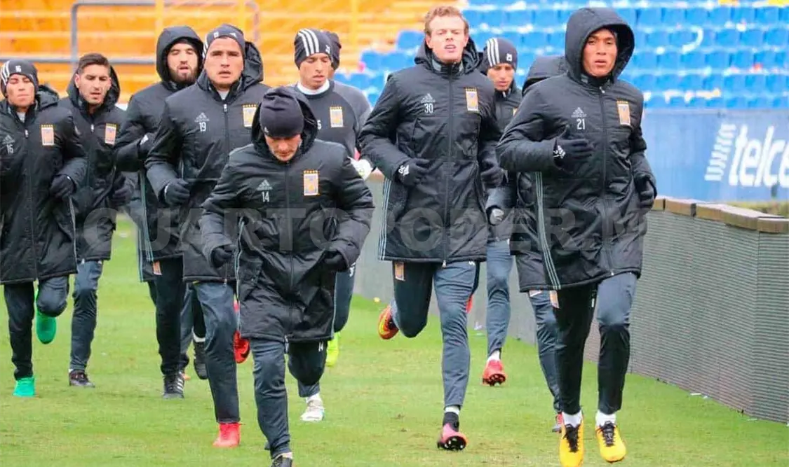 Tigres descarta a Meza para partido contra Morelia