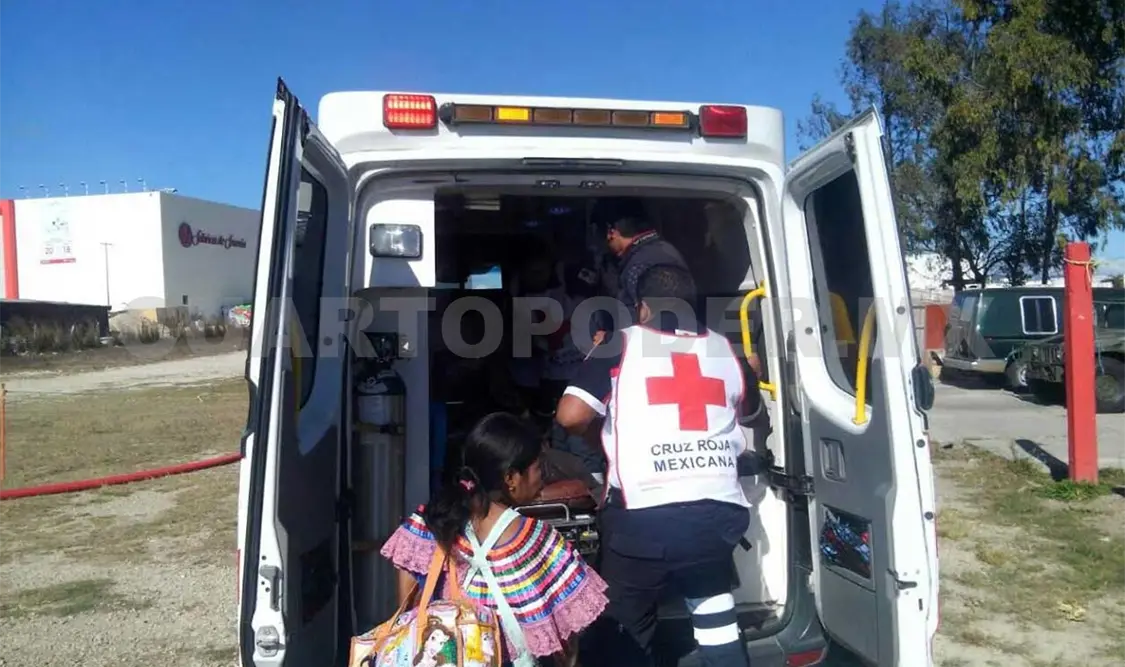Campesino muere por mordedura de serpiente nauyaca