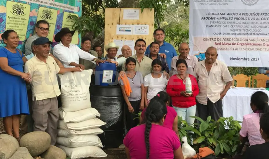 Entregan apoyos a productores cafetaleros