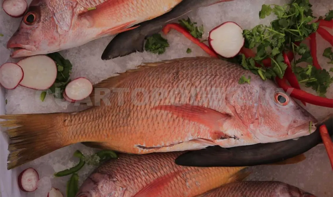 Garantizan abasto de pescado en cuaresma
