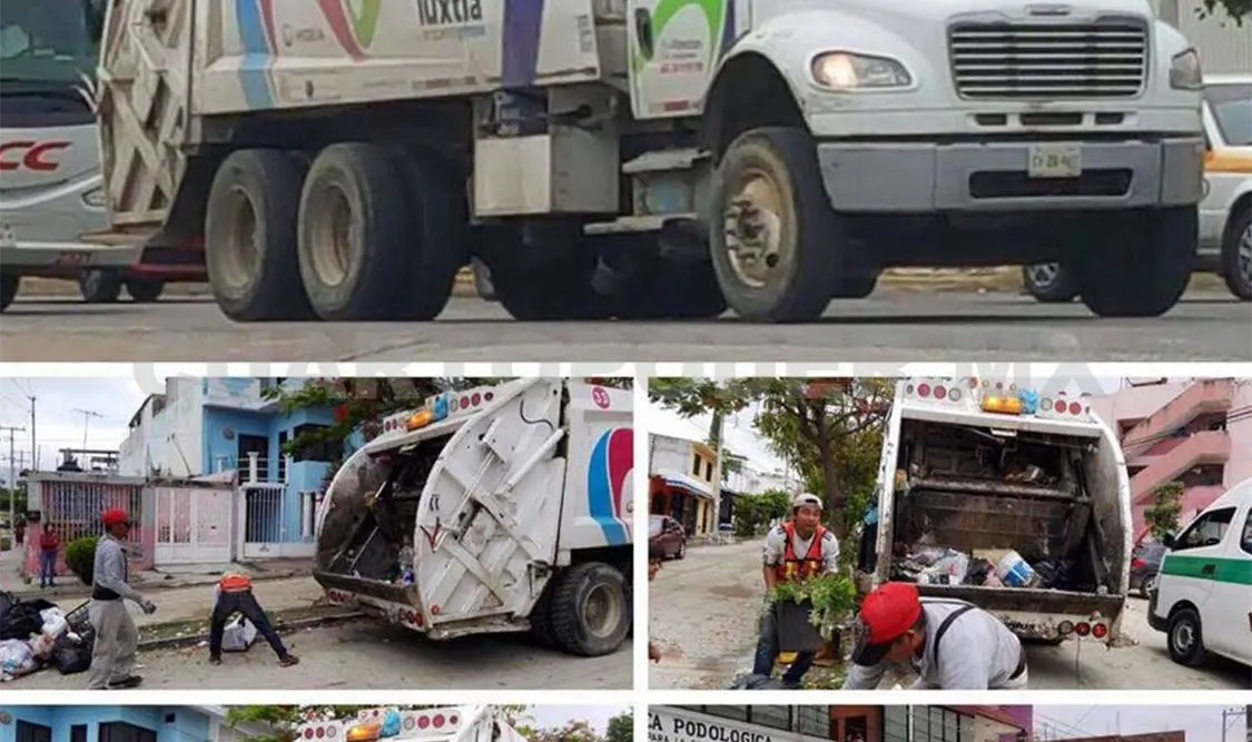 Reanuda Proactiva servicio de recolección