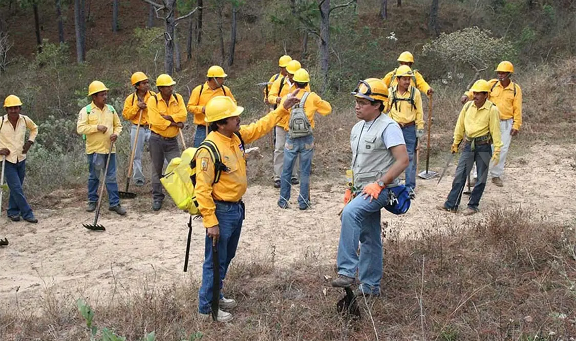 Atienden dos incendios activos