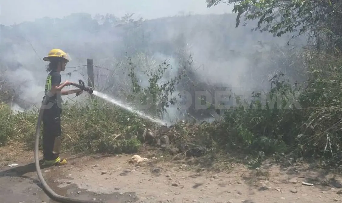 En tres días se registraron 18 incendios de pastizales en Tapachula. Rafael Victorio /CP