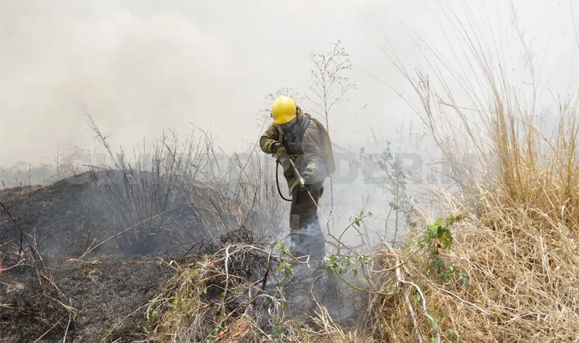 Reaparece Chiapas en el ‘Top Ten’ de incendios forestales