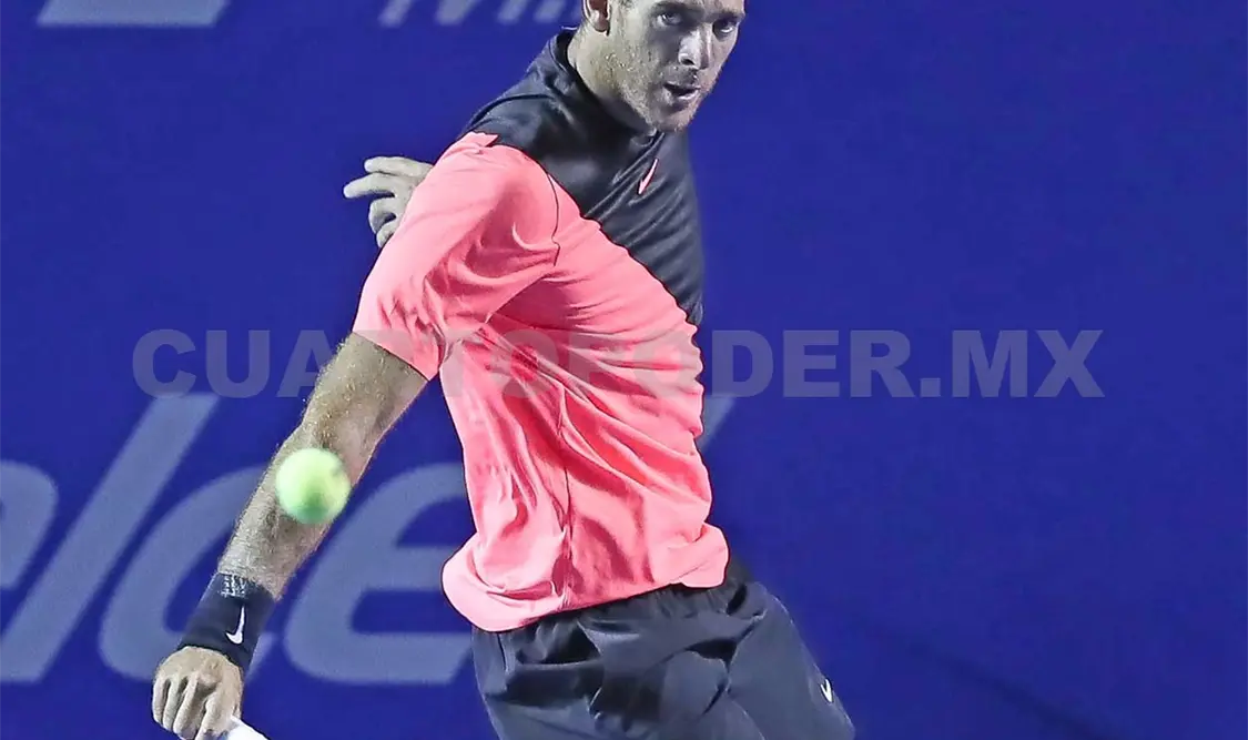 Del Potro, con histórico título en Abierto Mexicano