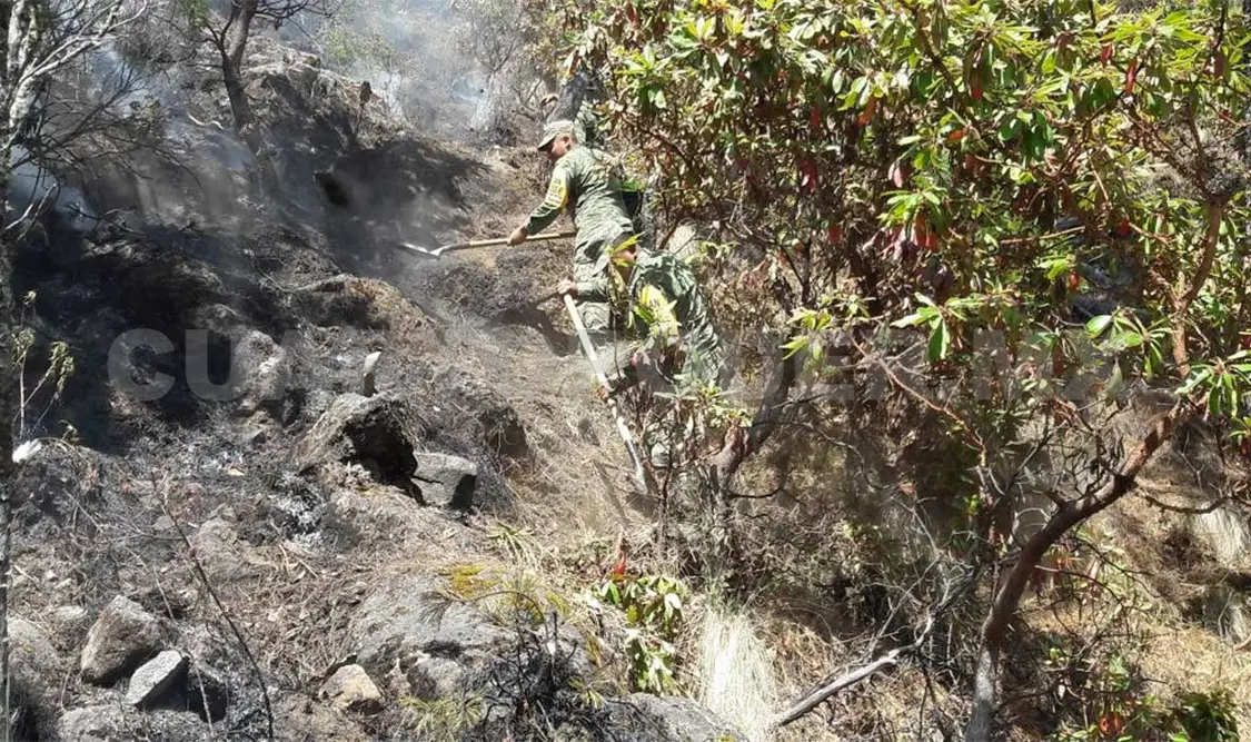 Se reaviva incendio en el Tacaná