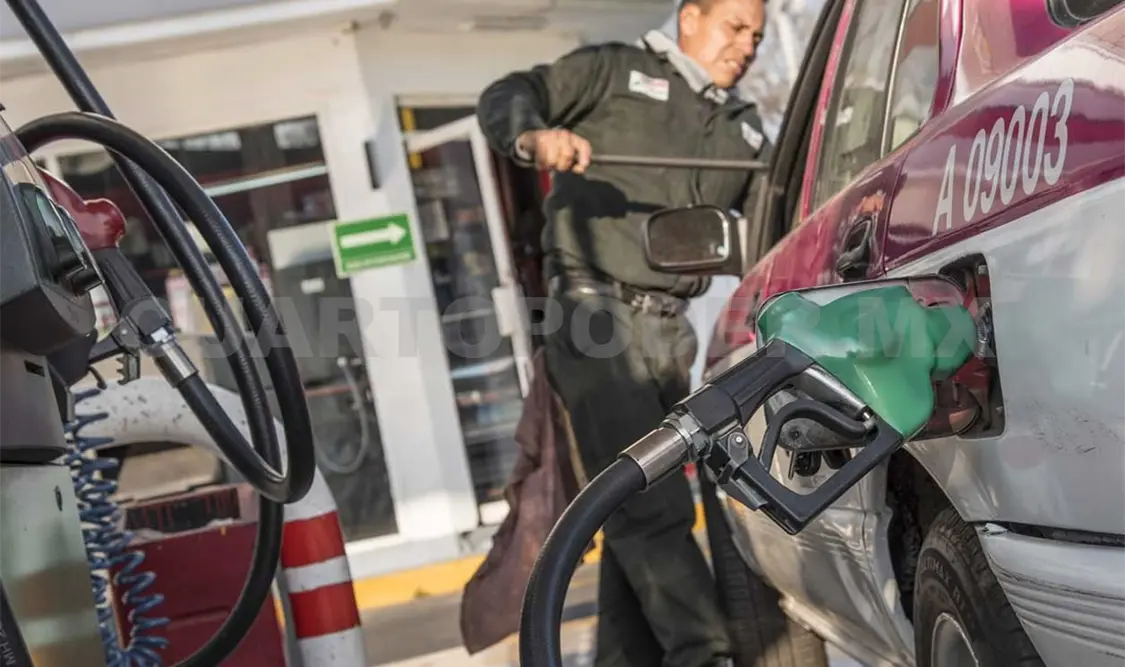 Cofece investiga a gasolineras