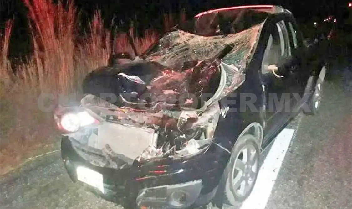 Semovientes provocaron un accidente carretero