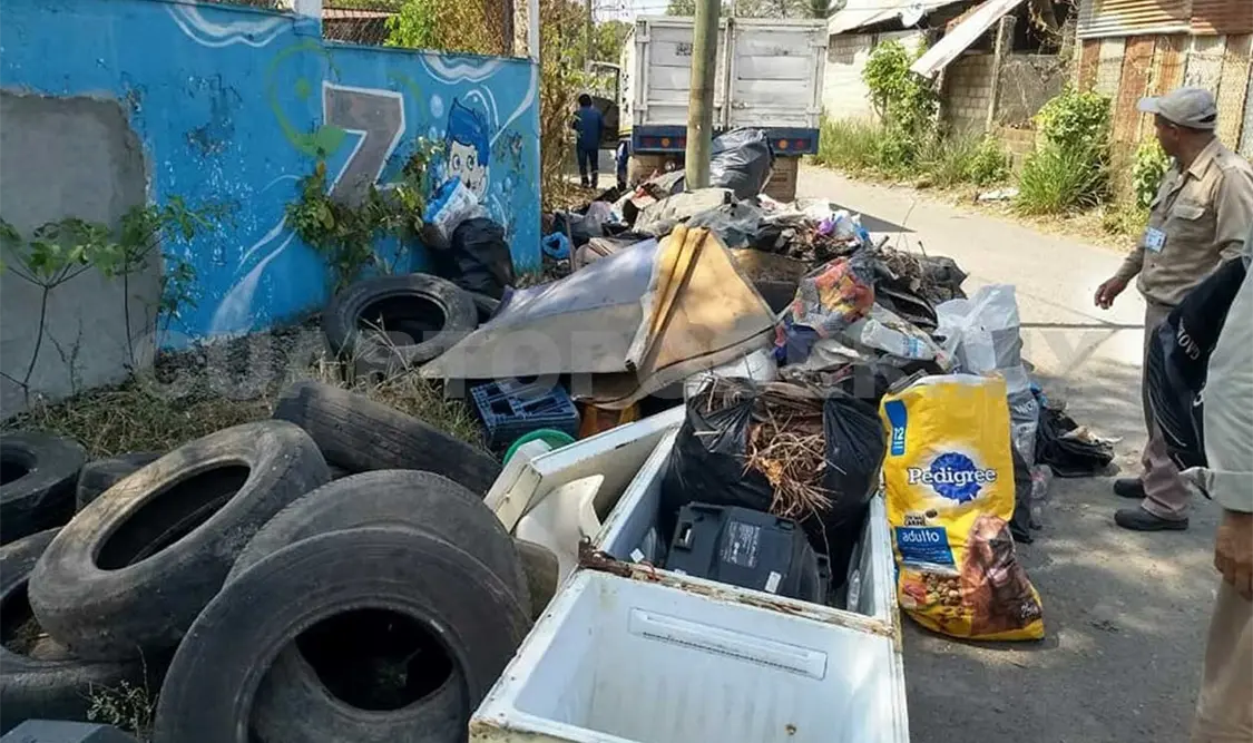 Contra el dengue, descacharrizan en colonias