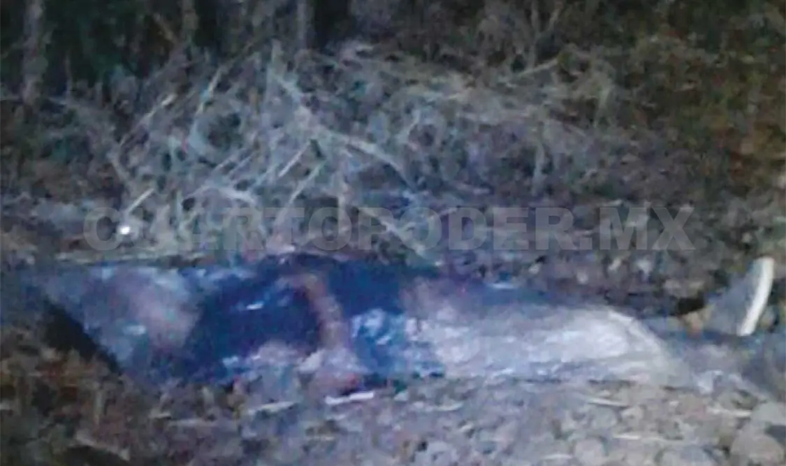 Con una herida en el ojo y diversos golpes provocados a pedradas fue encontrado el docente sin vida. Rafael Victorio / CP