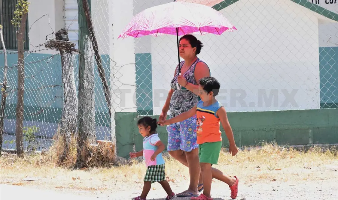 Islas de calor, consecuencia de la deforestación