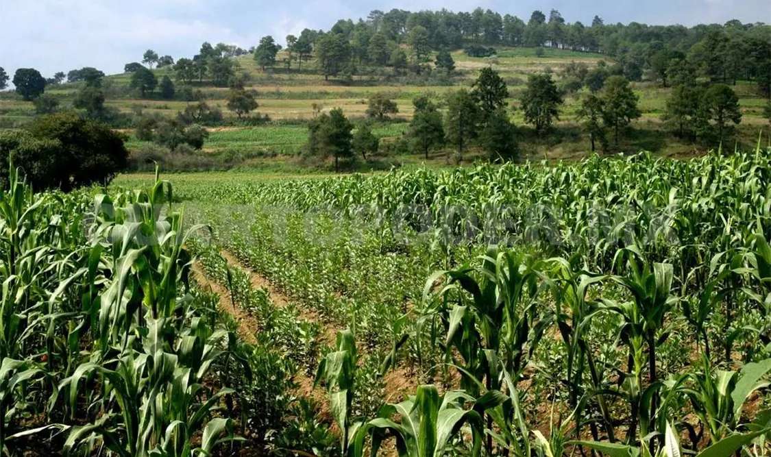 Capacitarán a productores en cuestiones financieras
